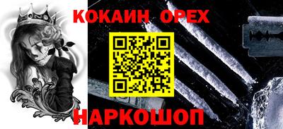 стафф Камышлов